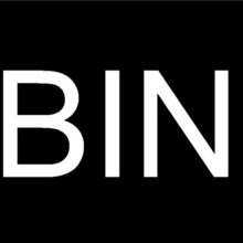 BIN Radio Logo