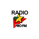 Logo for ProFM