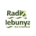 Radio Nebunya