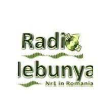 Radio Nebunya Logo