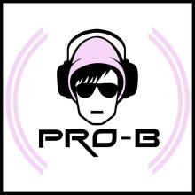 Radio Pro-B Logo