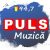 Puls FM