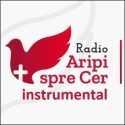 Radio Crestin Aripi Spre Cer Instrumental