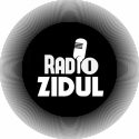 Radio Zidul