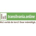 Transilvania Online Romania