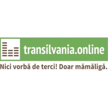 Transilvania Online Romania Logo